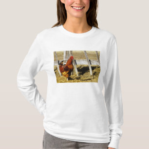 Rhode Island Red Rooster T-Shirt