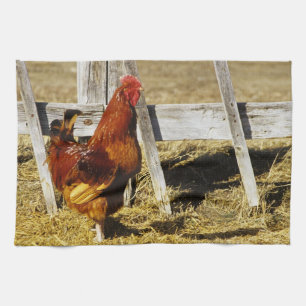 Rhode Island Red Rooster Tea Towel