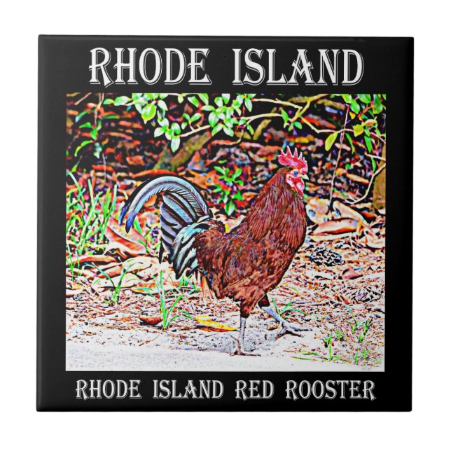Rhode Island Red Rooster Tile (Front)