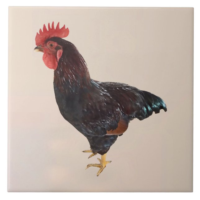 Rhode Island Red Rooster Tile (Front)