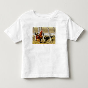 Rhode Island Red Rooster Toddler T-Shirt