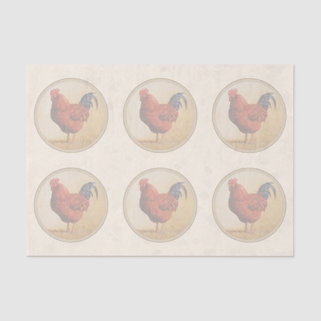 Rhode Island Red Rooster Yellow Background Tissue Paper (Front)