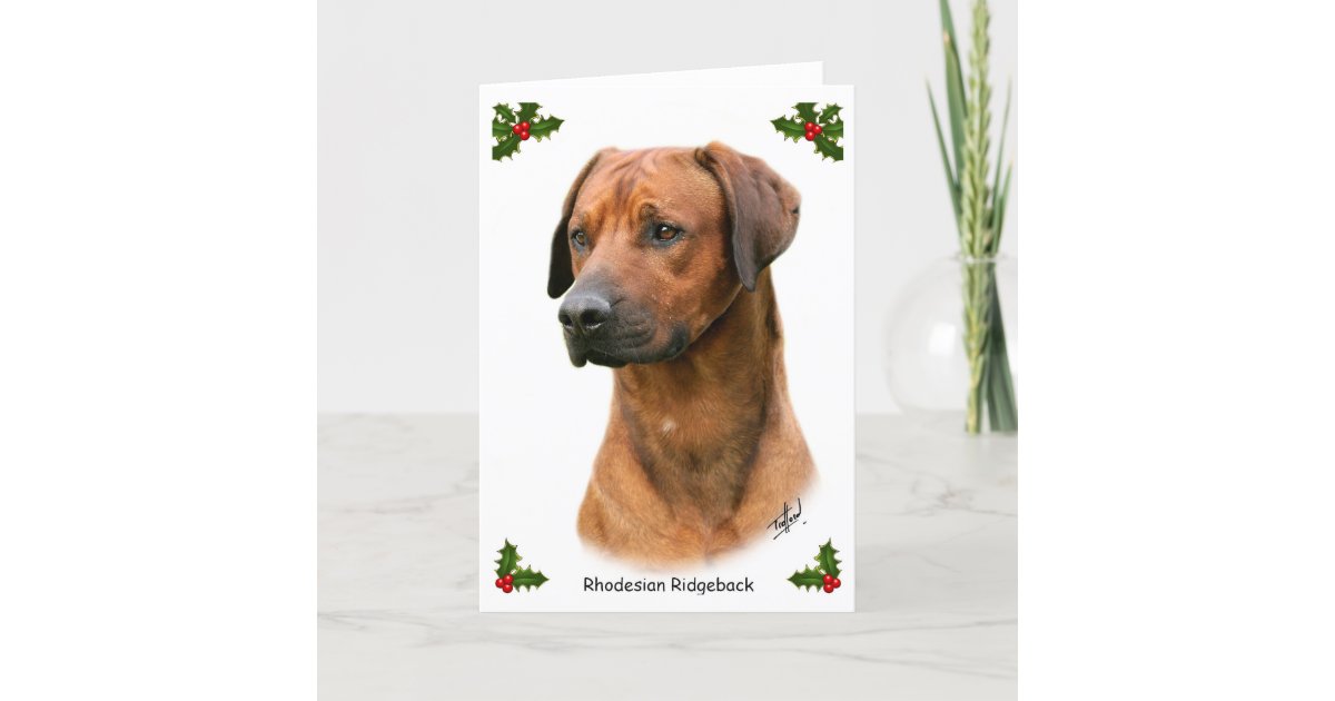 Rhodesian Ridgeback 9Y338D-039 Holiday Card | Zazzle