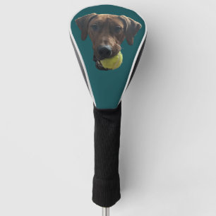 Rhodesian Ridgeback at Play Golf Head Cover