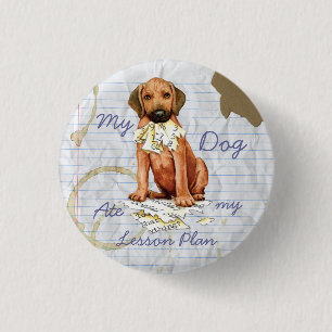 Rhodesian Ridgeback Ate Lesson Plan Pinback Button