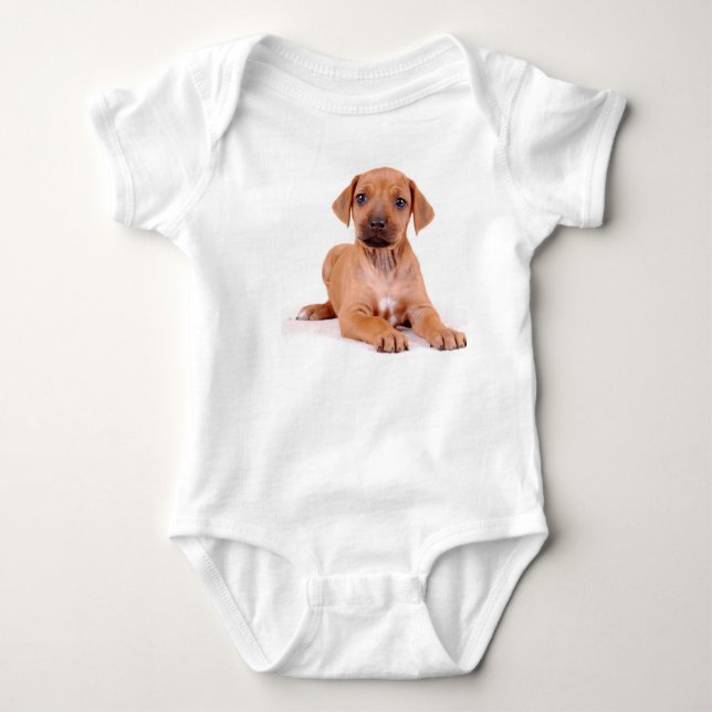 Rhodesian Ridgeback baby creeper (Front)
