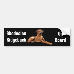 Rhodesian Ridgeback bumper sticker