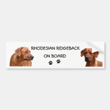 Rhodesian Ridgeback bumper ticker