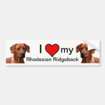 Rhodesian Ridgeback bumpersticker