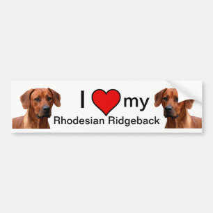 Rhodesian Ridgeback bumpersticker Bumper Sticker