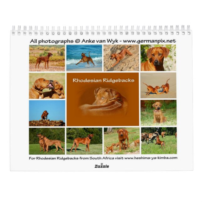 Rhodesian Ridgeback calendar (Back)