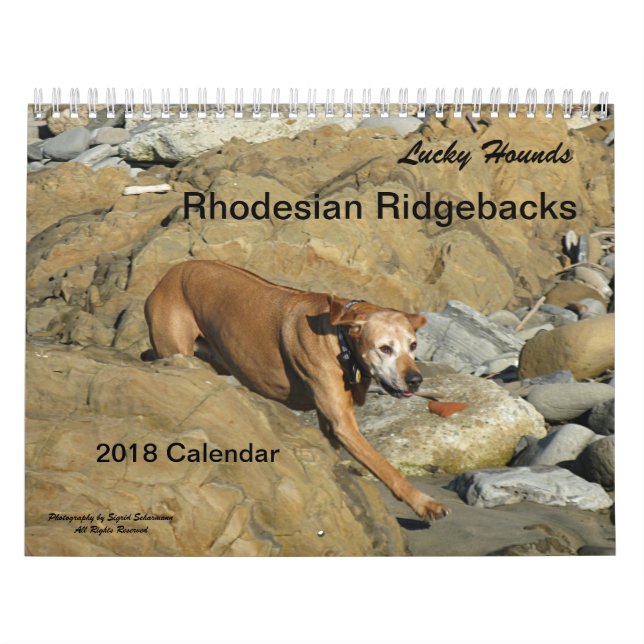 Rhodesian Ridgeback Calendar 2018 (Cover)