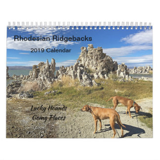 Rhodesian Ridgeback Calendar 2019 Going Places