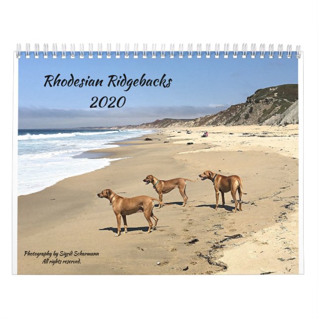 Rhodesian Ridgeback Calendar 2020 (Cover)
