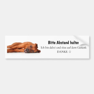Rhodesian Ridgeback car sticker