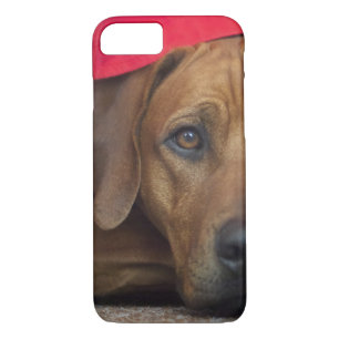rhodesian-ridgeback iPhone 8/7 case