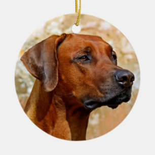 Rhodesian Ridgeback Ceramic Tree Decoration
