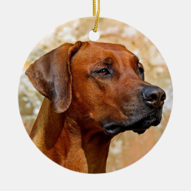Rhodesian Ridgeback Ceramic Tree Decoration (Front)