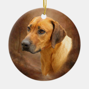 Rhodesian Ridgeback Ceramic Tree Decoration