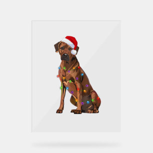 Rhodesian Ridgeback Christmas Lights Xmas Dog Love Acrylic Sign