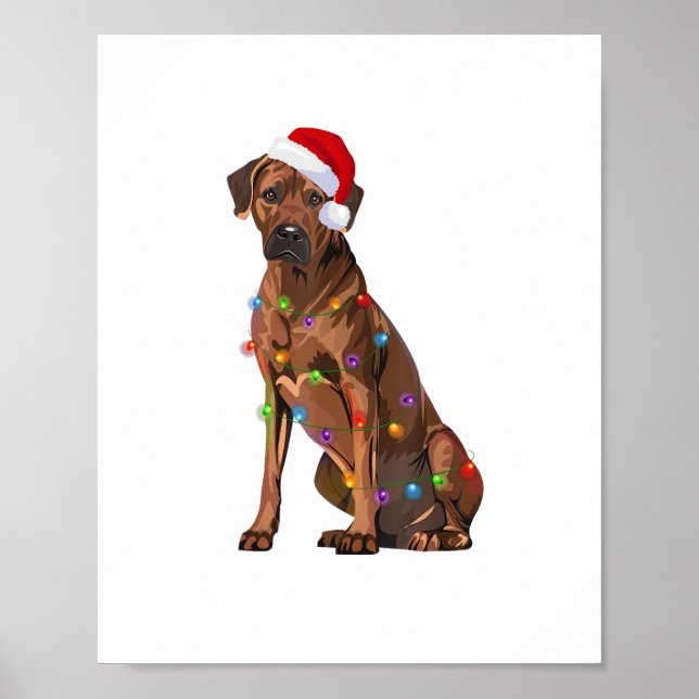 Rhodesian Ridgeback Christmas Lights Xmas Dog Love Poster (Front)