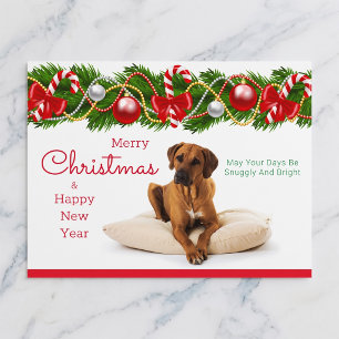 Rhodesian Ridgeback Christmas Postcard