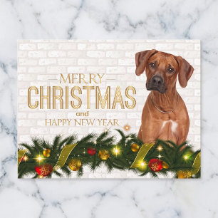 Rhodesian Ridgeback Christmas Postcard