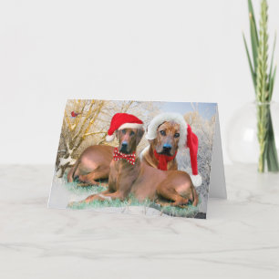 Rhodesian Ridgeback Christmas Scene cards
