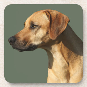 Rhodesian Ridgeback Coaster