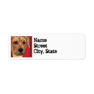 Rhodesian Ridgeback Colour Block