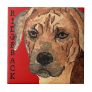 Rhodesian Ridgeback Colour Block Tile