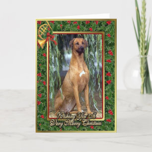 Rhodesian Ridgeback Dog Blank Christmas Card