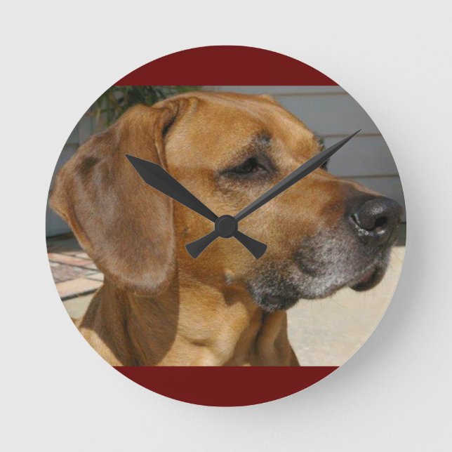 RHODESIAN RIDGEBACK Dog Breed Pet Round Clock (Front)