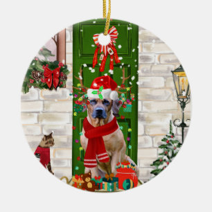 Rhodesian Ridgeback Dog Christmas  Ceramic Tree Decoration