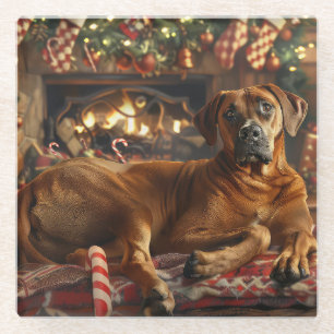 Rhodesian Ridgeback Dog Christmas Festive Glass Coaster