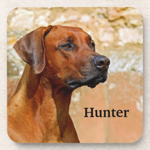 Rhodesian Ridgeback Dog Coaster