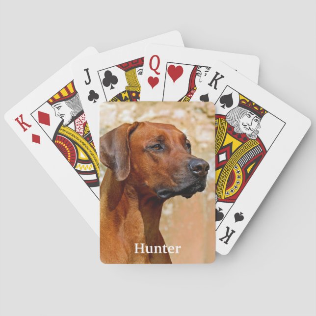 Rhodesian Ridgeback Dog Playing Cards (Back)