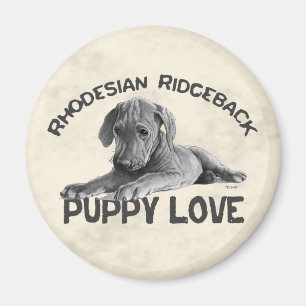 Rhodesian Ridgeback Drawing Magnet