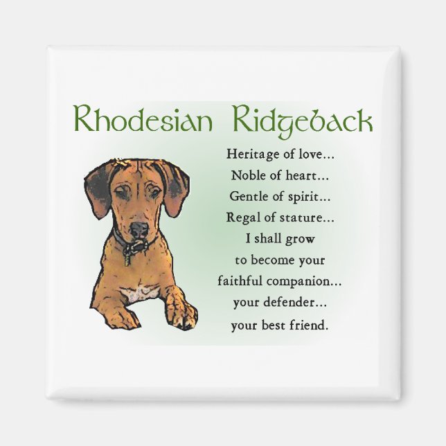 Rhodesian Ridgeback Gifts Magnet (Front)