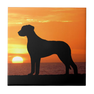 Rhodesian Ridgeback Golden Sunset Silhouette Tile
