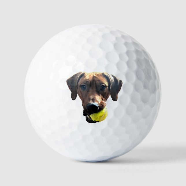 Rhodesian Ridgeback Golf Balls (Front)