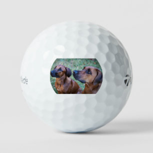 rhodesian-ridgeback-group golf balls