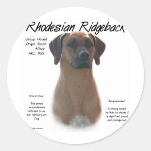 Rhodesian Ridgeback History Design Classic Round Sticker
