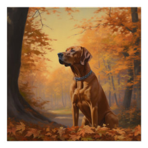 Rhodesian Ridgeback in Autumn Leaves Fall Inspire Poster