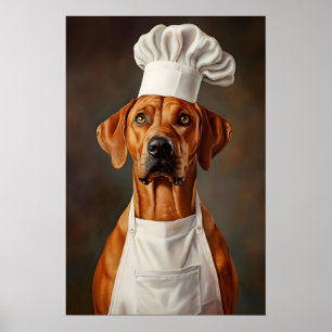 Rhodesian Ridgeback In Chefs Hat Poster, Pet Poster
