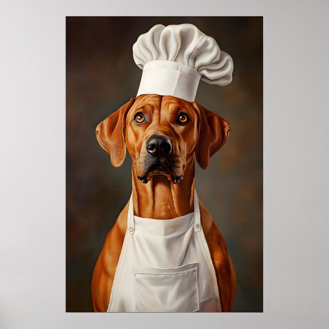 Rhodesian Ridgeback In Chefs Hat Poster, Pet Poster (Front)
