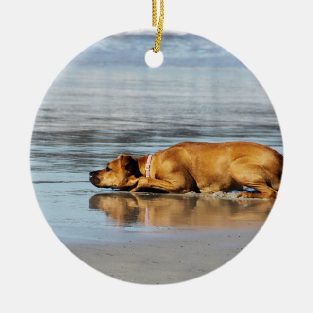 Rhodesian Ridgeback - Is the Water Cold? Ceramic Tree Decoration (Front)