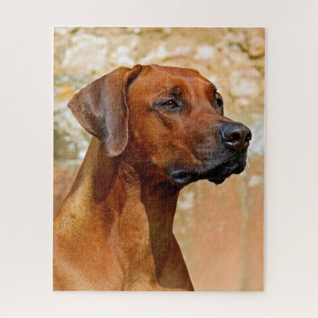 Rhodesian Ridgeback Jigsaw Puzzle (Vertical)