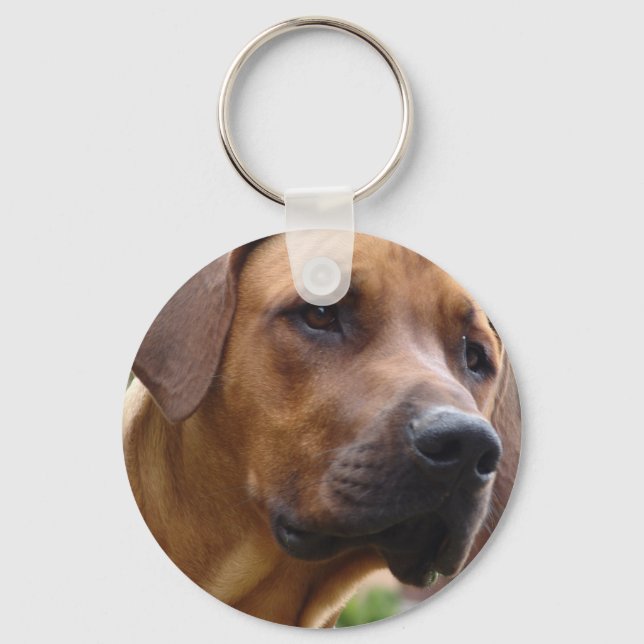 Rhodesian Ridgeback Keychain (Front)