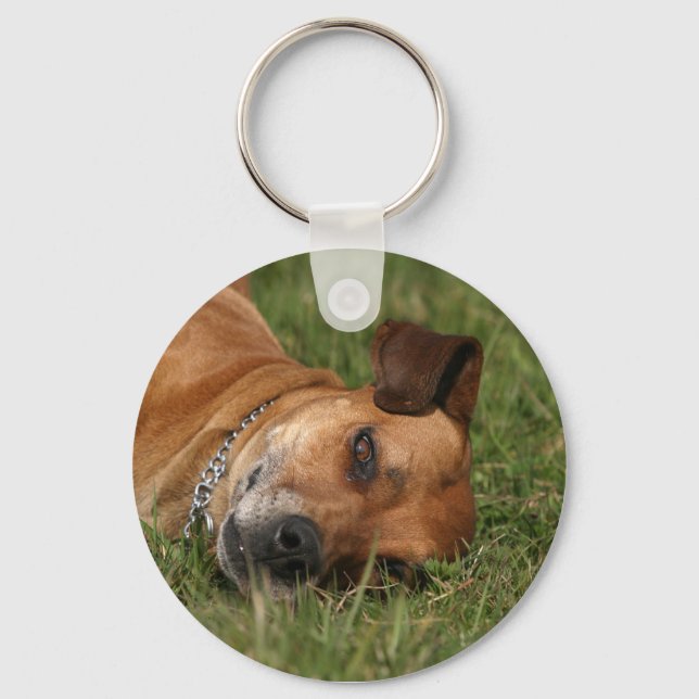 Rhodesian Ridgeback Keychain (Front)